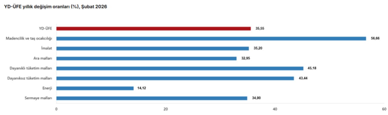 Yurt dışı üretici fiyat endeksi şubat ayında yükselişini sürdürdü - Resim : 3