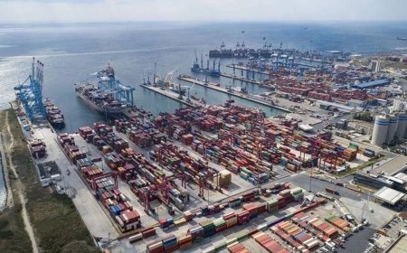 Şubat Ayında Yurt Dışı Üretici Fiyat Endeksinde Artış Devam Etti