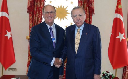 Cumhurbaşkanı Erdoğan, BlackRock’un CEO’su Larry Fink ile İstanbul’da Buluştu
