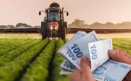 Çiftçilere Destek Paketi: Mazotun Tamamı ve Gübre Desteği Geliyor