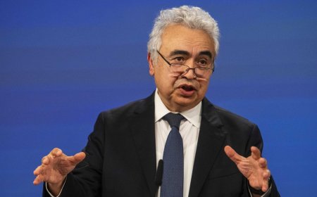 Fatih Birol: Nisan’da Petrol Krizi İki Kat Şiddetlenecek